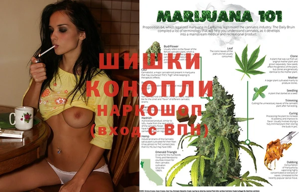 метадон Новозыбков