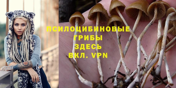 ALPHA-PVP Новокубанск