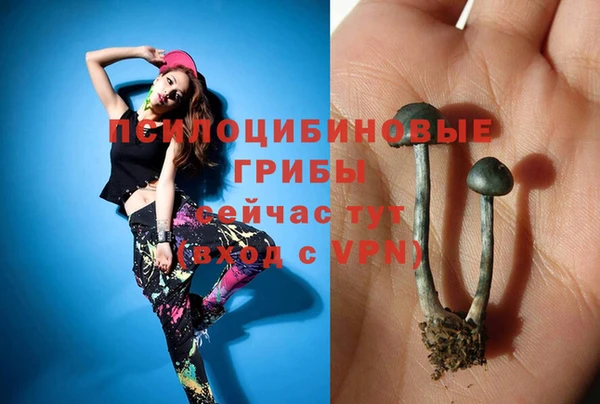 метадон Новозыбков