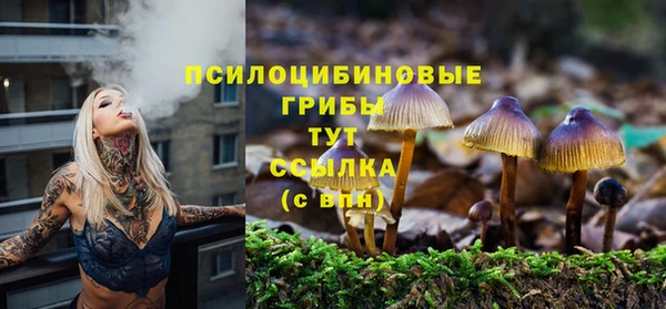 метадон Новозыбков