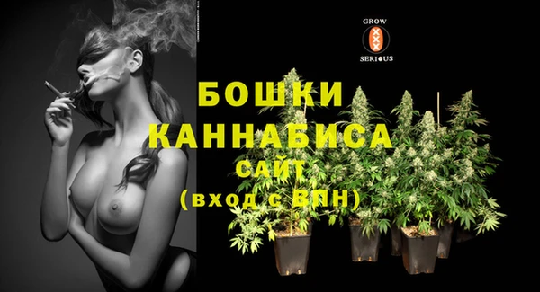 метадон Новозыбков