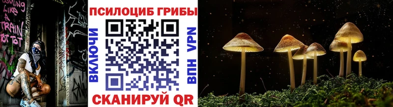 Галлюциногенные грибы мухоморы KRAKEN ссылки Рыльск